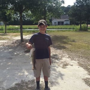 Meet your Posher, Bryce